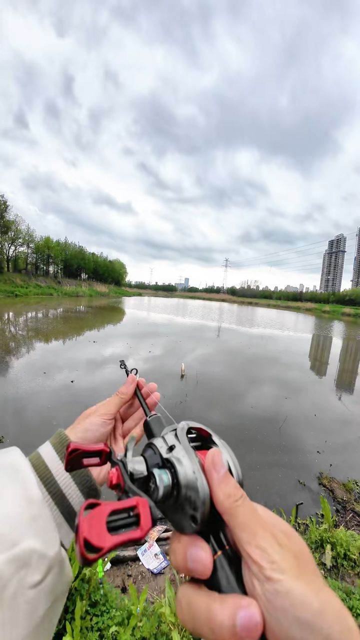 路亚邪修玩法上线！路亚竿+七星漂，鲫鱼直接狂拉🔥