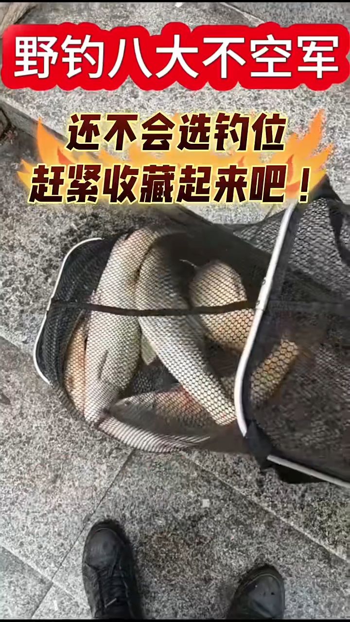 钓友都懂的野钓选位技巧！新手建议收藏