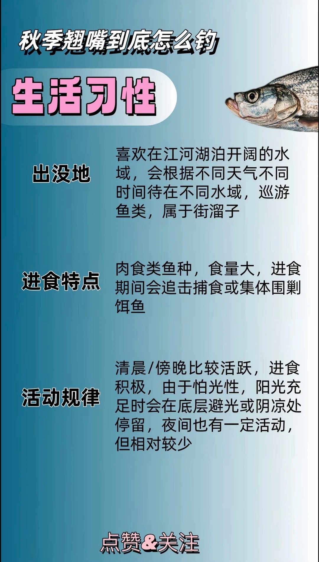 翘嘴到底怎么钓？ · 图片 2