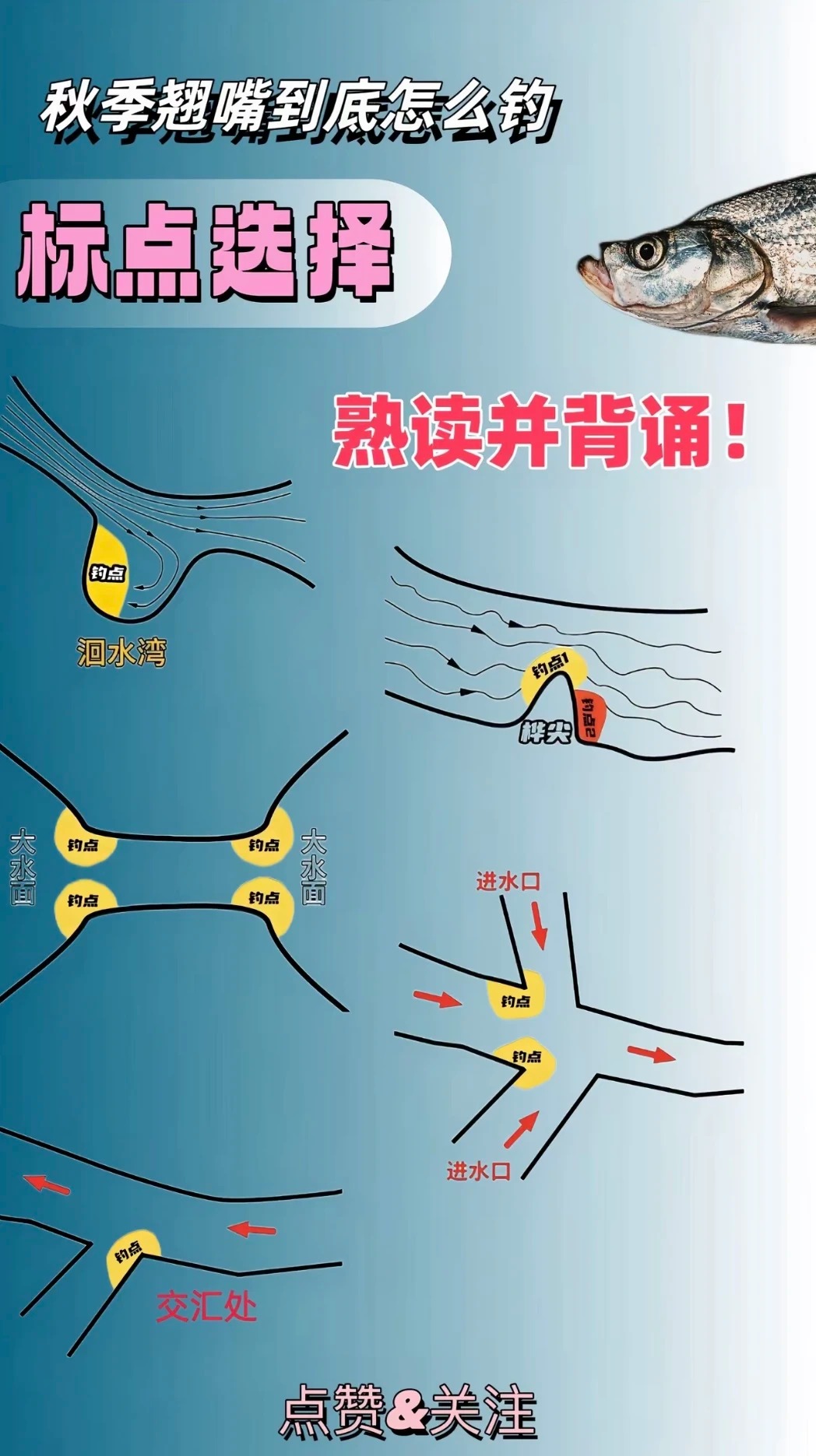 翘嘴到底怎么钓？ · 图片 4