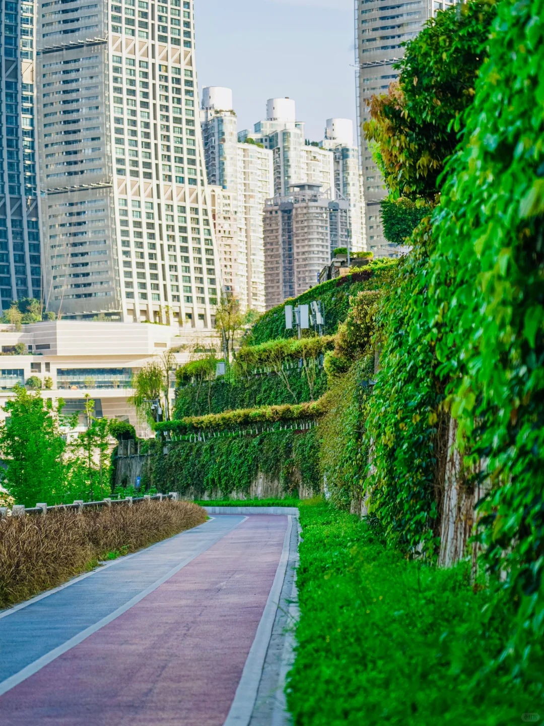重庆北滨路｜藏在桥下的彩虹骑行道🌈 · 图片 5
