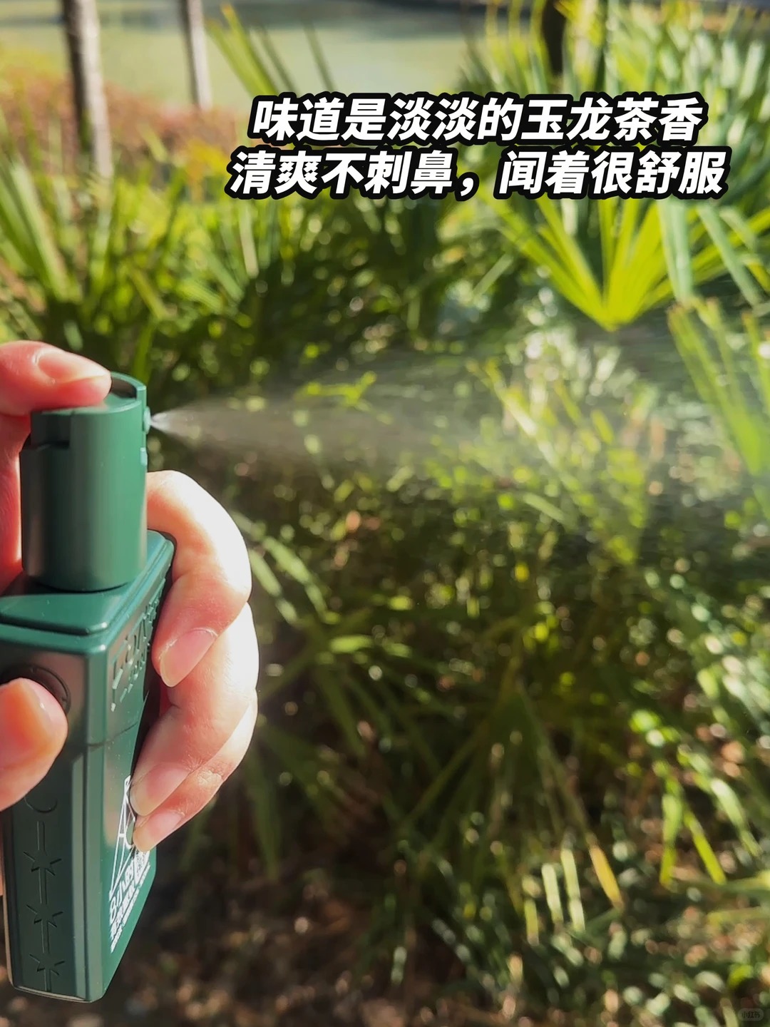 露营装备清单大公开！新手照着准备，少走弯路！ · 图片 6