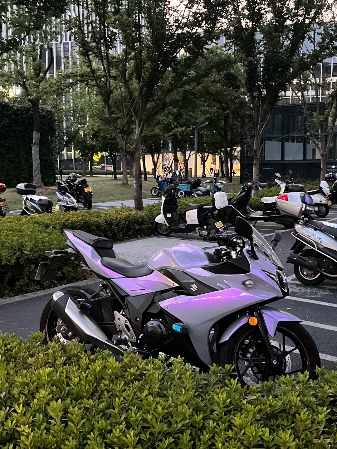 紫灰色仿赛停在原地，也像在等我出发 · 图片 3
