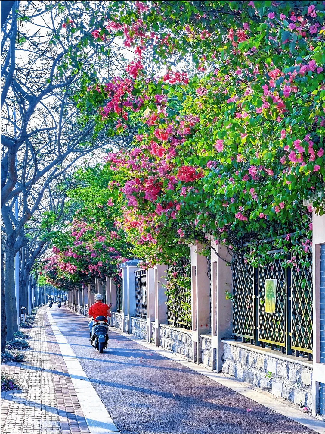 🚴‍♂️骑行攻略｜南宁4条秋日骑行路线推荐 · 图片 2