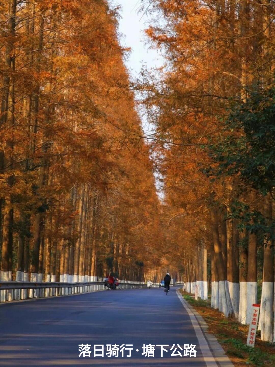 江浙沪秋日骑行地图｜9条神仙路线，收藏就对了！ · 图片 8
