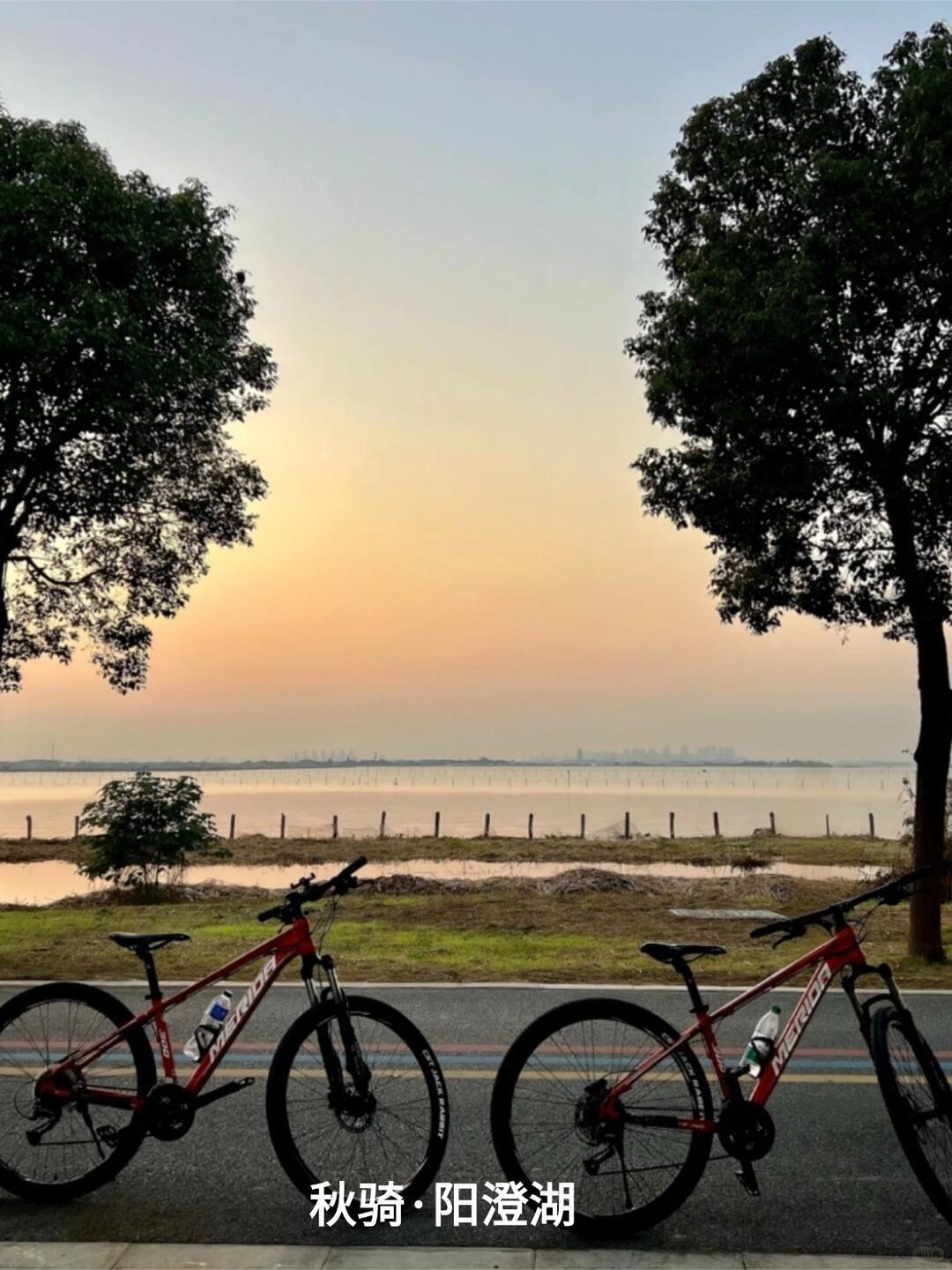 江浙沪秋日骑行地图｜9条神仙路线，收藏就对了！ · 图片 2