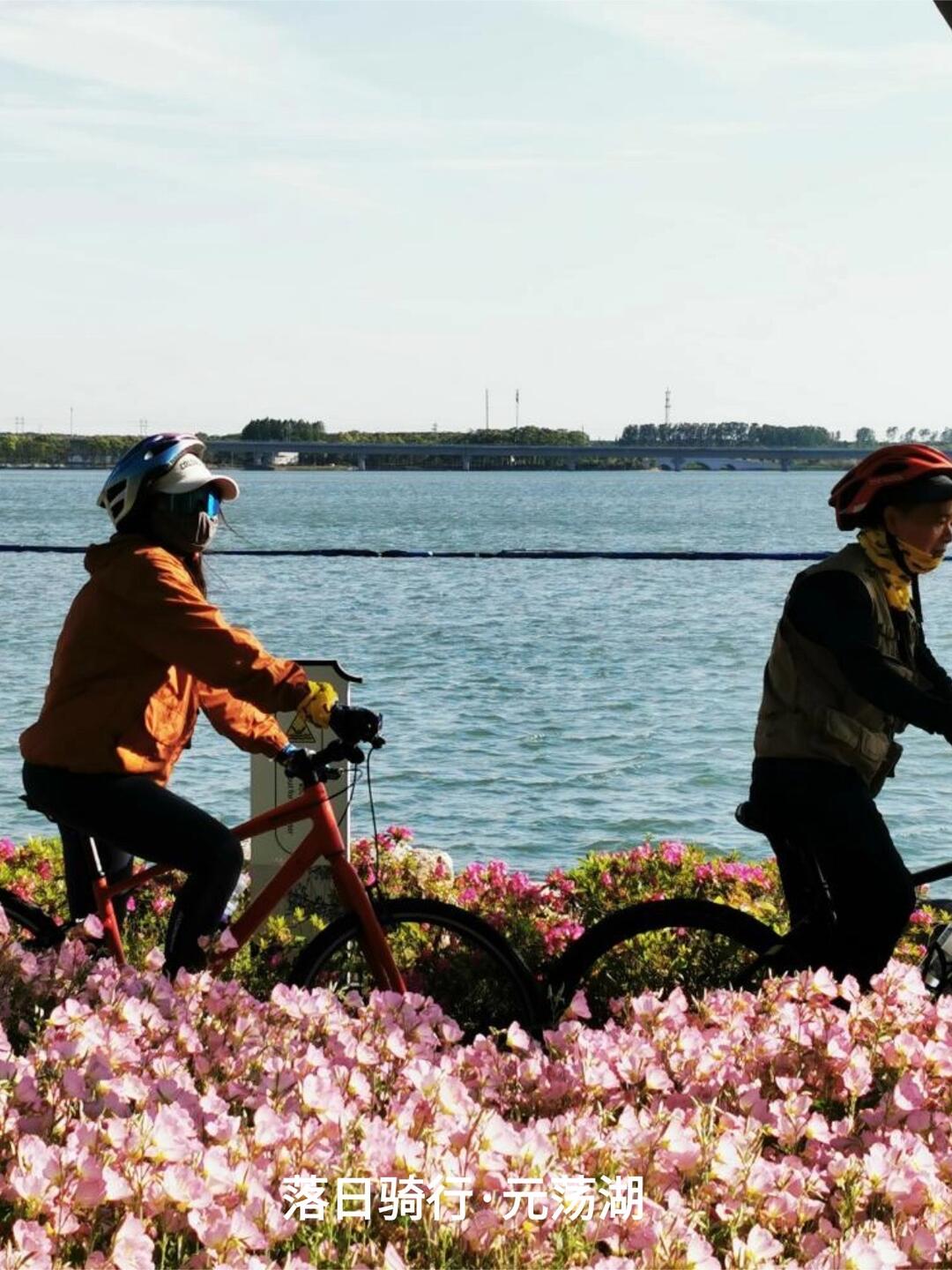江浙沪秋日骑行地图｜9条神仙路线，收藏就对了！ · 图片 7