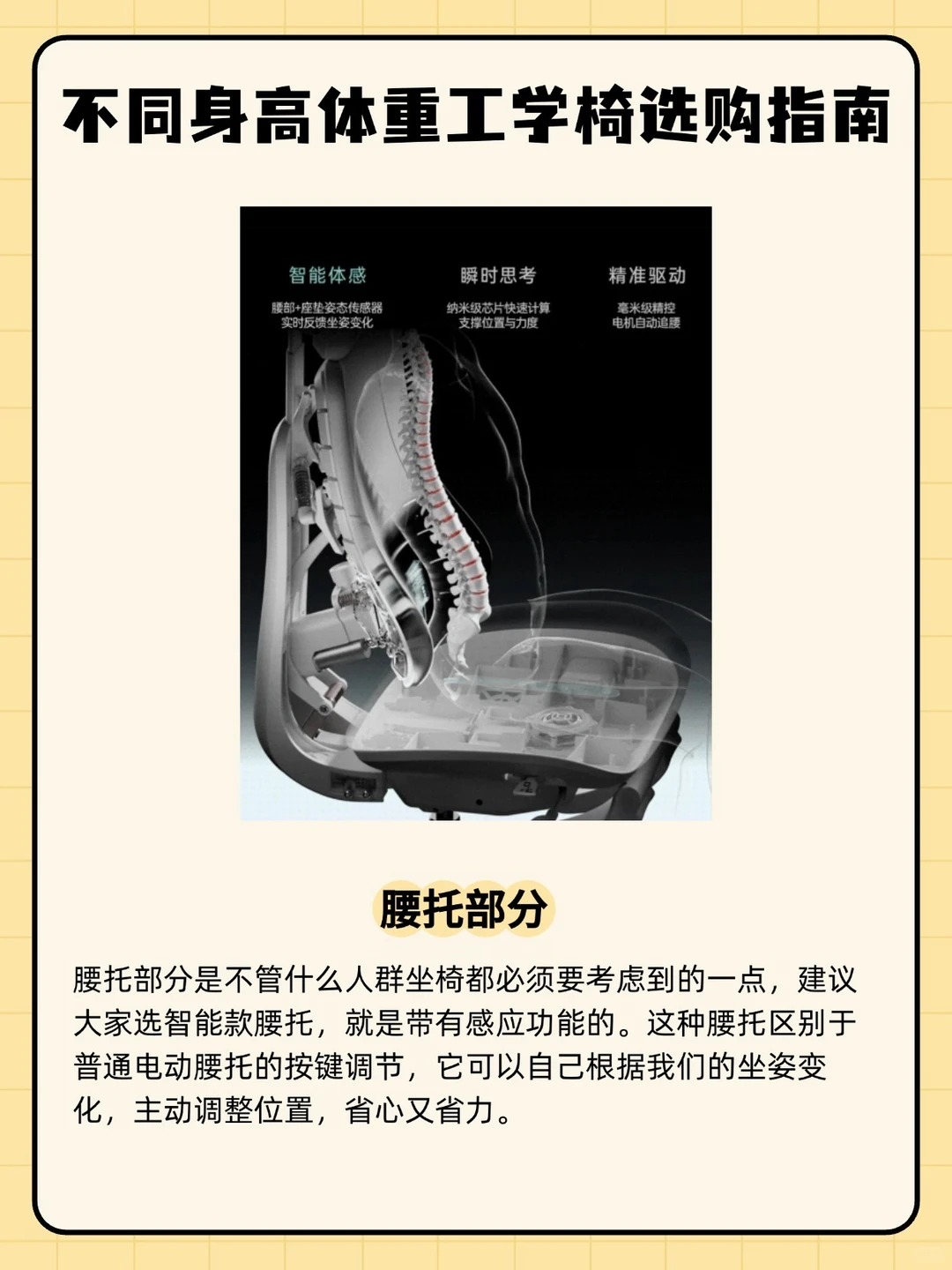 久坐党收好！工学椅选购干货，适配全身高 · 图片 3