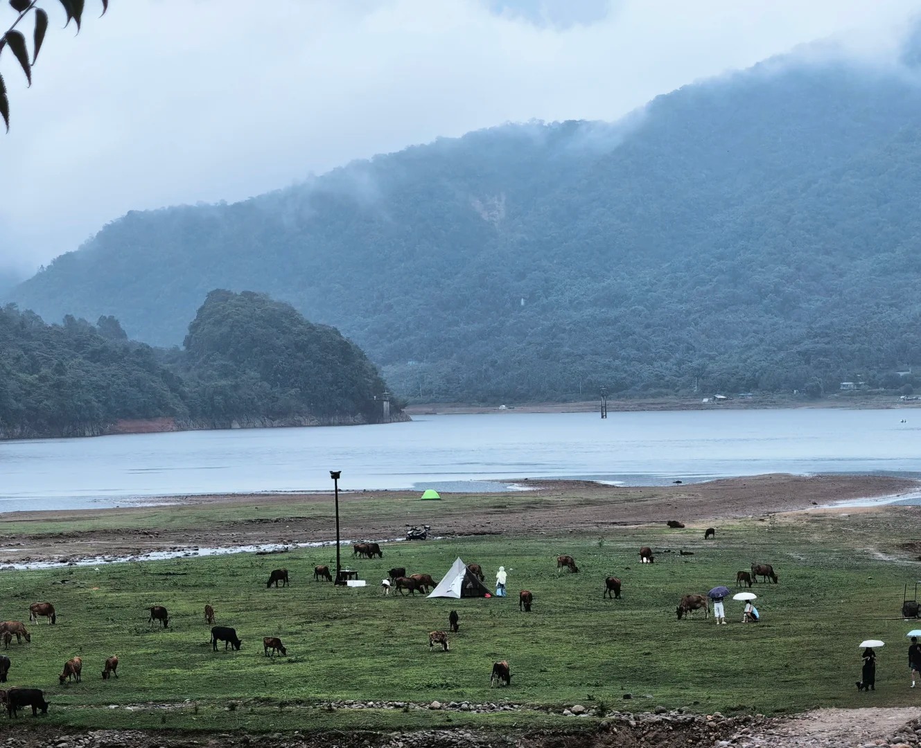 不用去新疆！广东也有自己的阿勒泰⛺️🌿 · 图片 5