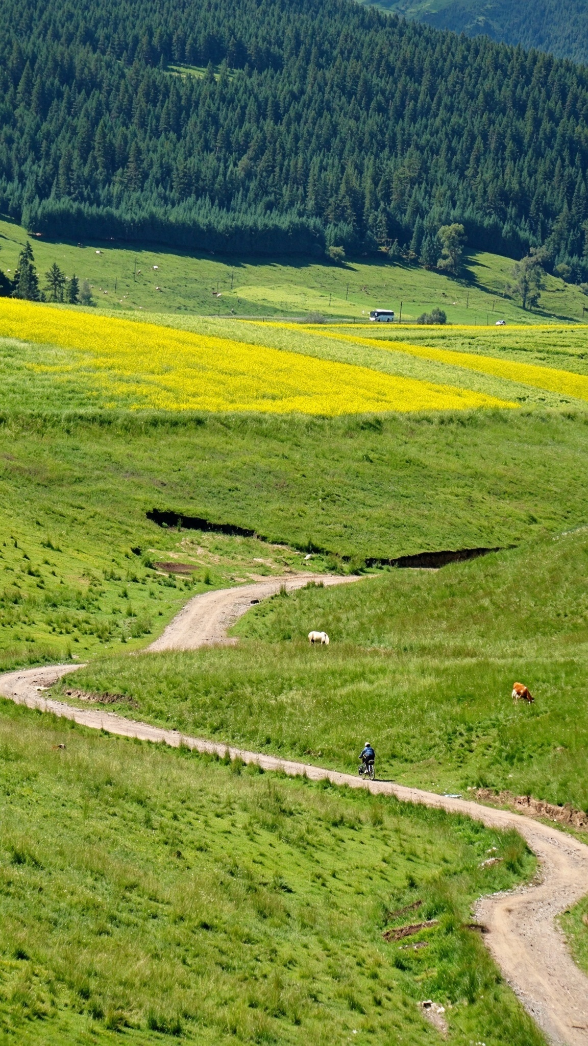 骑行在路上｜山河会治愈所有内耗🚲 · 图片 2