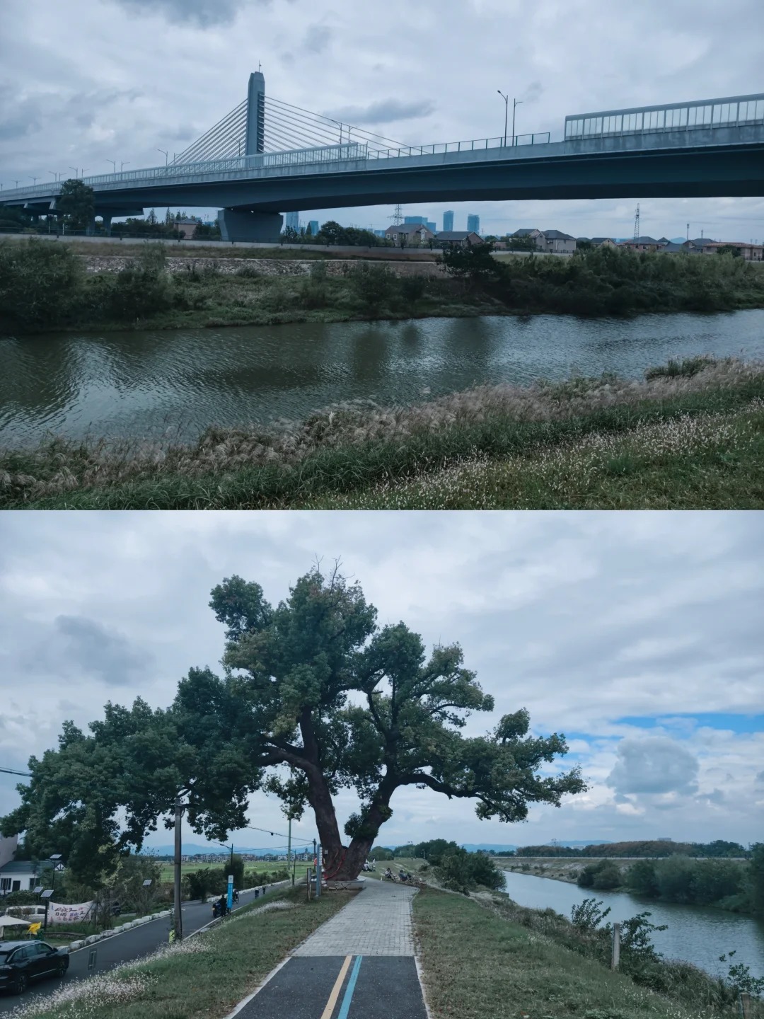 苕溪骑行🍂杭州秋日宝藏路线！12km平路太chill了 · 图片 3