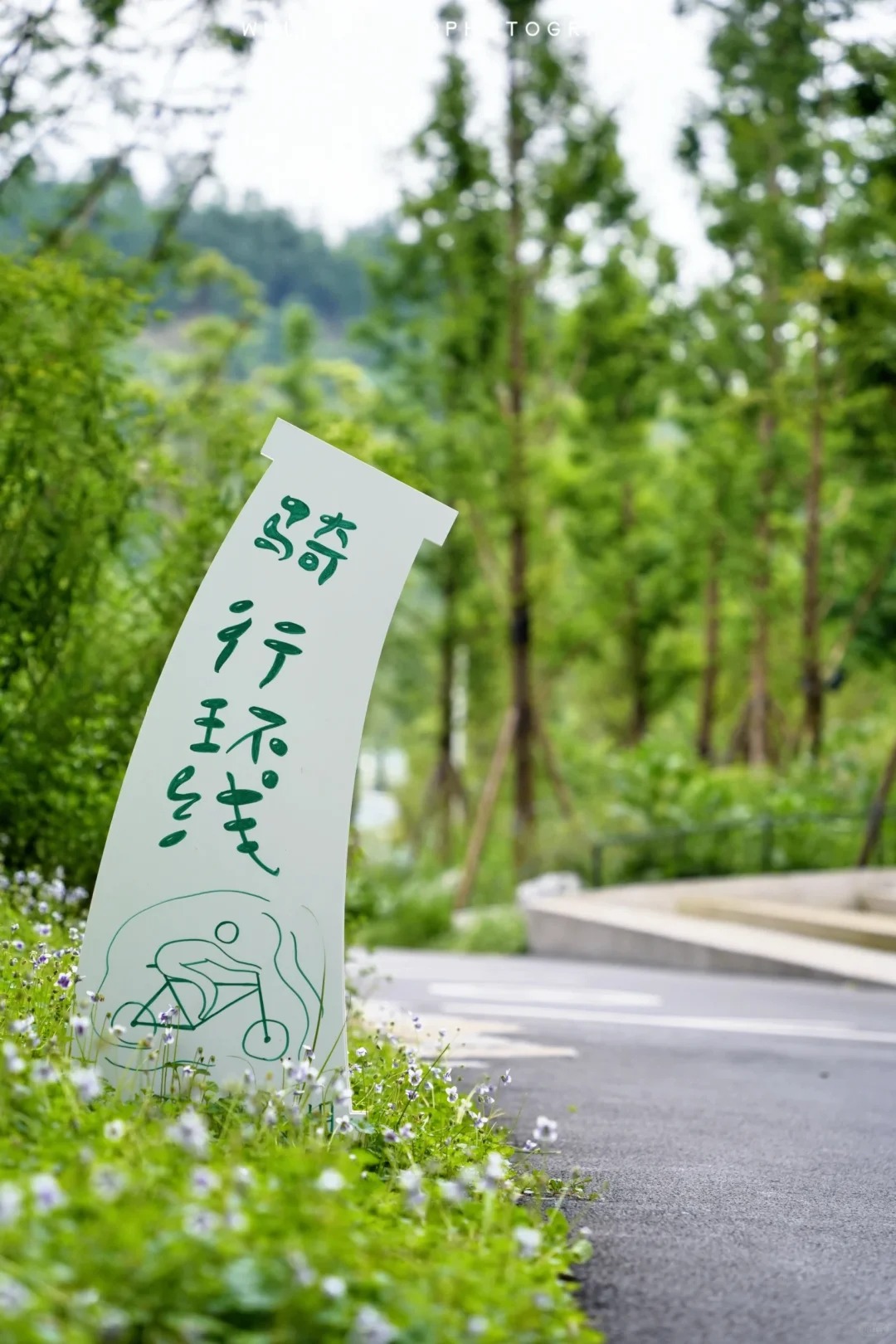 7km环湖！重庆超适合骑行的公园被我找到了 · 图片 4