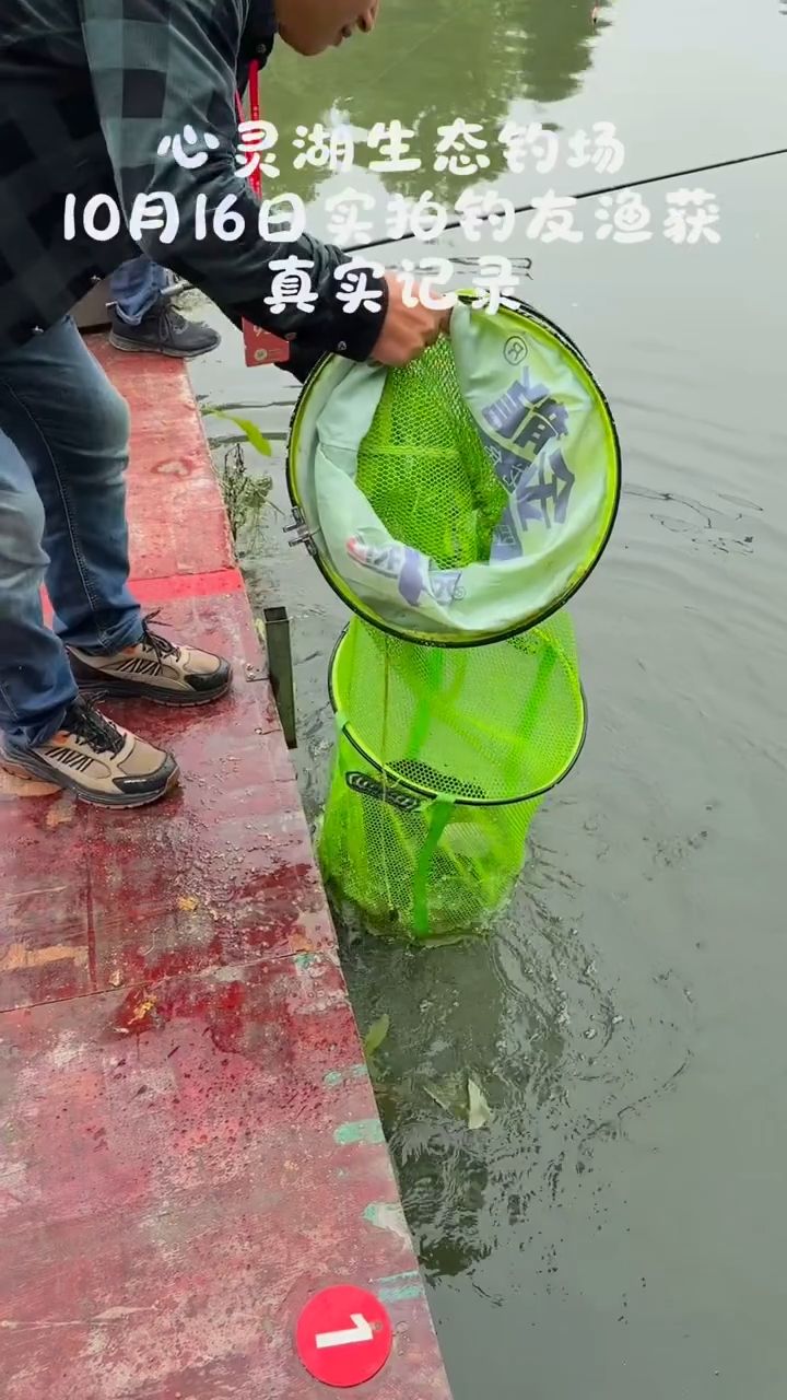 10.16心灵湖钓场实拍!看看钓友们的收获!